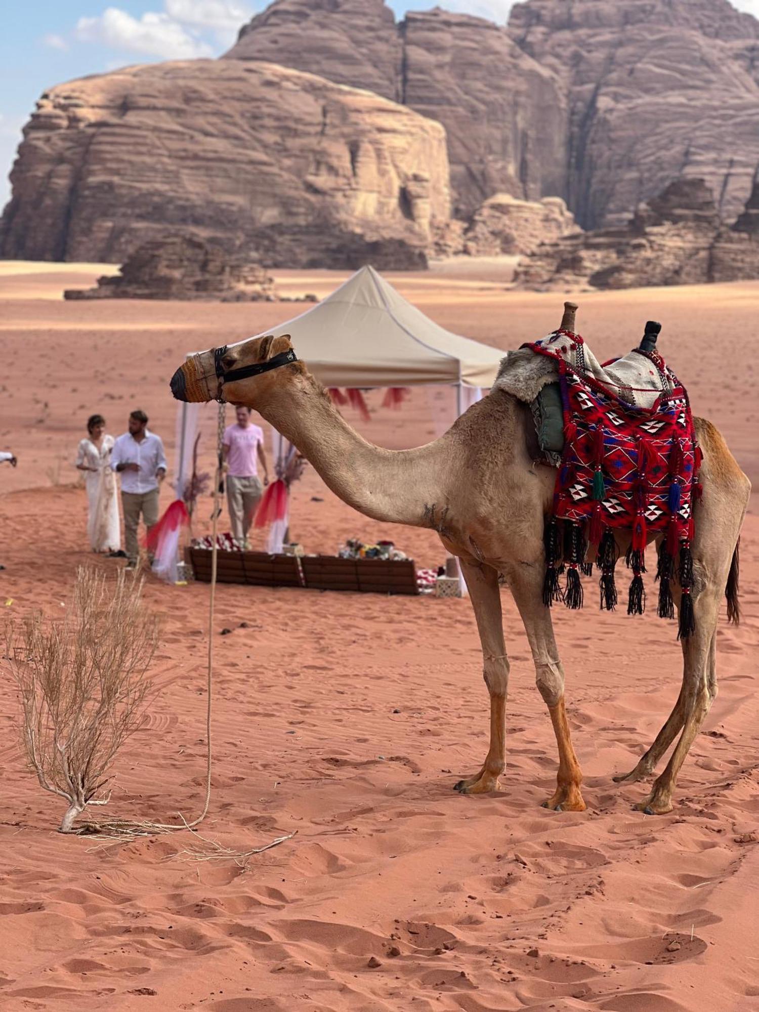 Moon Magic Valley Lägenhet Wadi Rum Exteriör bild